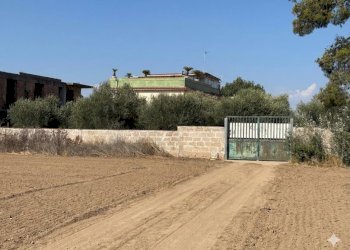 Agricultural land Mondragone - photo 1