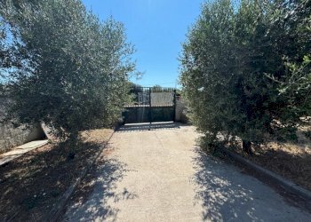 Agricultural land Mondragone - photo 2