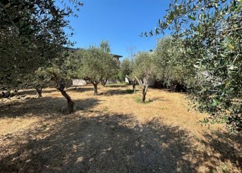 Agricultural land Mondragone - photo 4