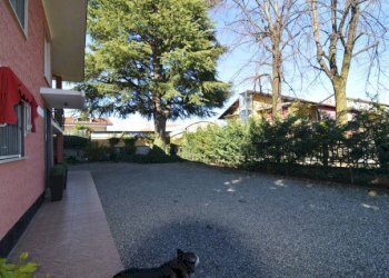 Villa Coniolo - foto 3