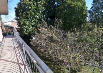 Villa Coniolo - foto 59