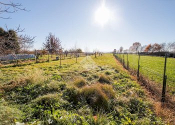 Semi-detached house Via del Molino, Rivarolo Canavese - photo 42