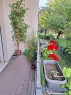 Trilocale Modena - foto 3