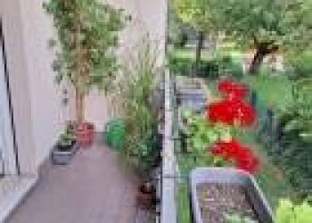 Trilocale Modena - foto 3