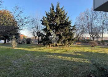 Trilocale Viale Partigiani, Collegno - foto 19