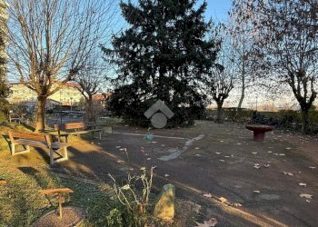 Trilocale Viale Partigiani, Collegno - foto 20