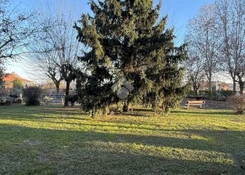 Trilocale Viale Partigiani, Collegno - foto 22