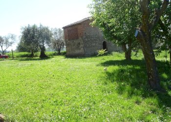Foto 3 - Rustico Montespertoli - foto 3