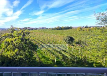 Foto 32 - Trilocale Peschiera del Garda - foto 32