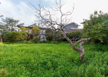 Giardino - Terreno edificabile Via San Michele Arcangelo, Sant'Agata Li Battiati - foto 1