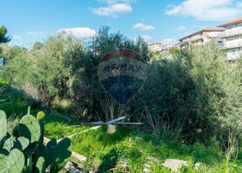 Giardino - Terreno edificabile Via Della Campana
snc, Misterbianco - foto 2