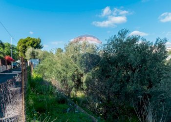 Giardino - Terreno edificabile Via Della Campana
snc, Misterbianco - foto 3