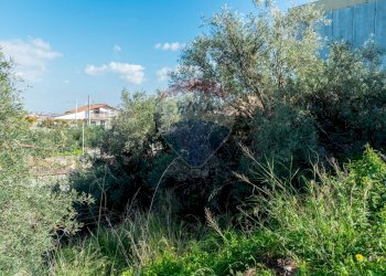 Giardino - Terreno edificabile Via Della Campana
snc, Misterbianco - foto 9