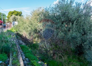 Giardino - Terreno edificabile Via Della Campana
snc, Misterbianco - foto 10