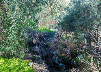 Giardino - Terreno edificabile Via Della Campana
snc, Misterbianco - foto 13