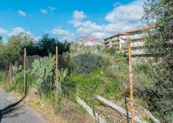 Giardino - Terreno edificabile Via Della Campana
snc, Misterbianco - foto 15
