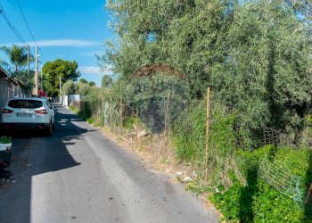 Giardino - Terreno edificabile Via Della Campana
snc, Misterbianco - foto 19