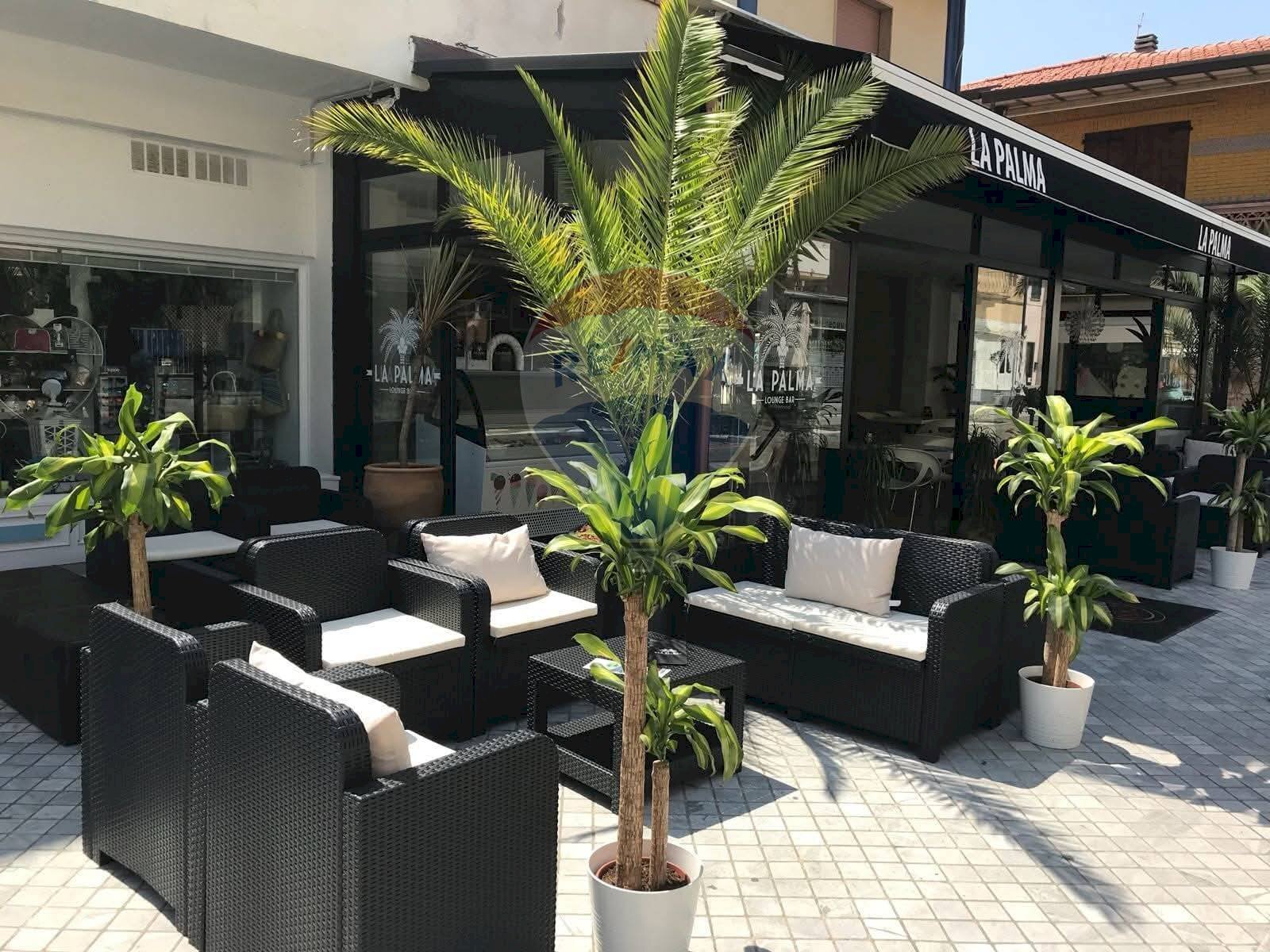 Terrazza - Locale Commerciale Via Versilia
 
92, Pietrasanta - foto 2