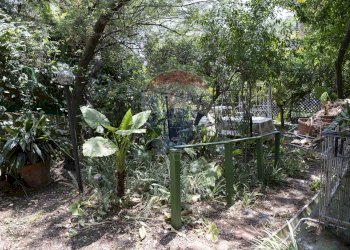 Giardino - Trilocale Via Val di Sole
 
11, Roma - foto 2