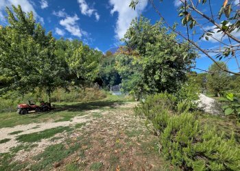 Giardino - Villa VIA FRUSCOLA
 
4, Castelfranco Piandiscò - foto 24