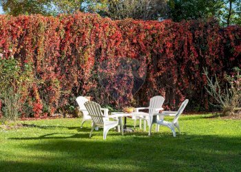 Giardino - Villa Pescia - foto 10