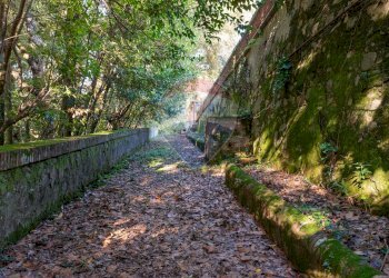 Giardino - Villa Pescia - foto 18