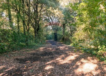 Giardino - Villa Pescia - foto 20