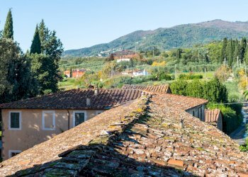Vista delle montagne - Villa Pescia - foto 50