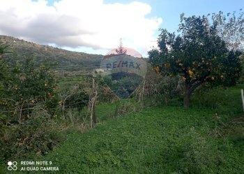 Vista delle montagne - Rustic via ficarazzi, Castiglione di Sicilia - photo 31