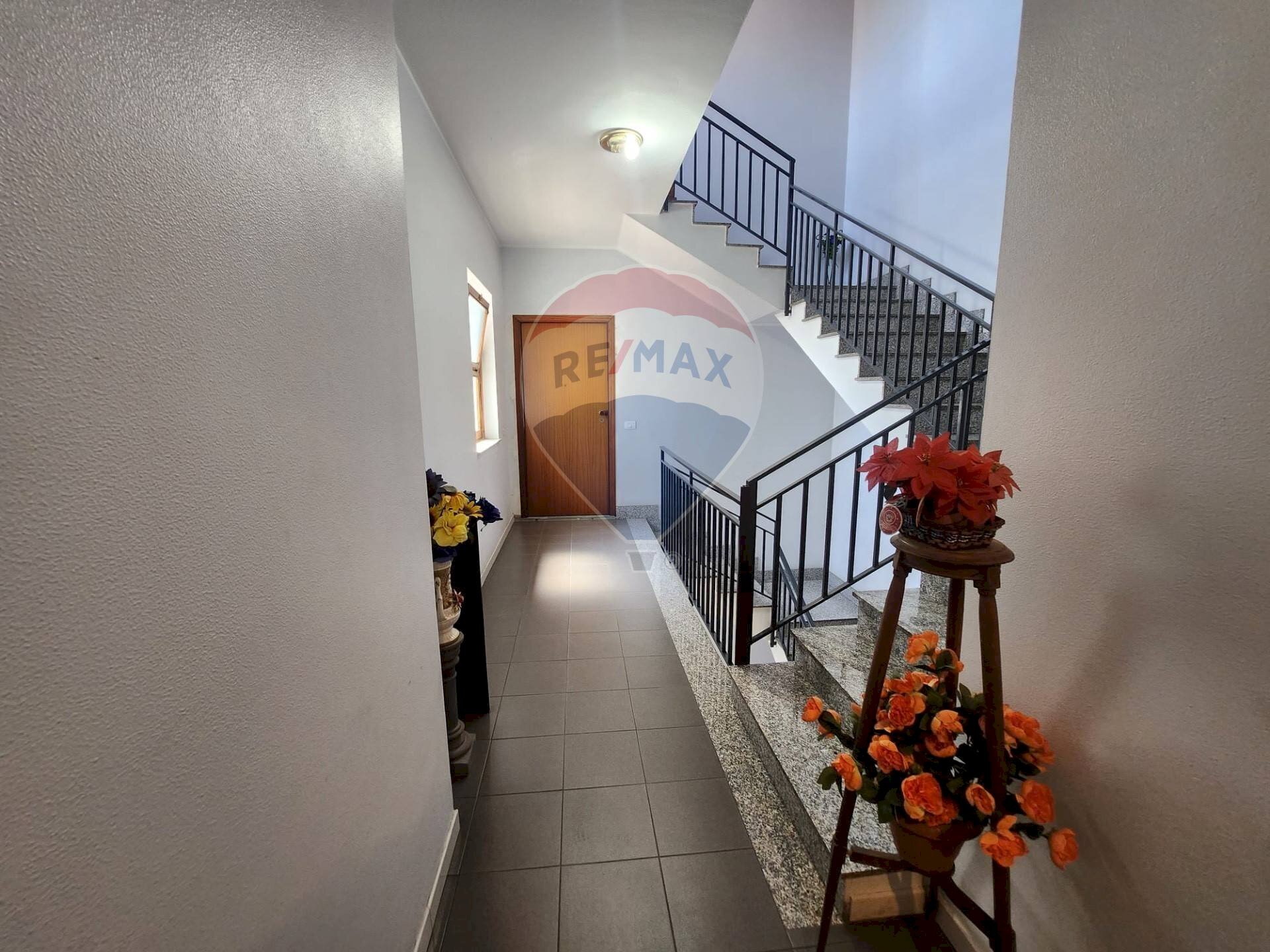 Hall / corridoio - Quadrilocale Via Lavina
 
111, Aci Sant'Antonio - foto 1