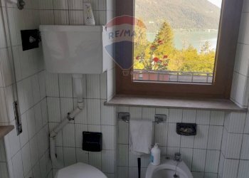 Bagno - Attività Commerciale Via Lastra
 
84, Alpago - foto 19