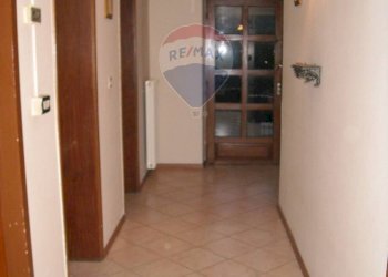 Hall / corridoio - Attività Commerciale Via Lastra
 
84, Alpago - foto 29