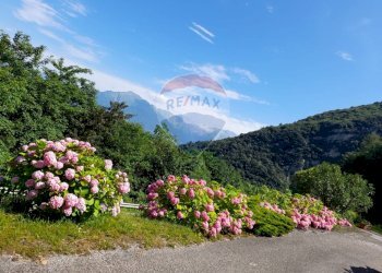 Vista delle montagne - Attività Commerciale Via Lastra
 
84, Alpago - foto 67