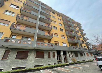 Foto 29 - Trilocale Via Morandi
 
14, Collegno - foto 29