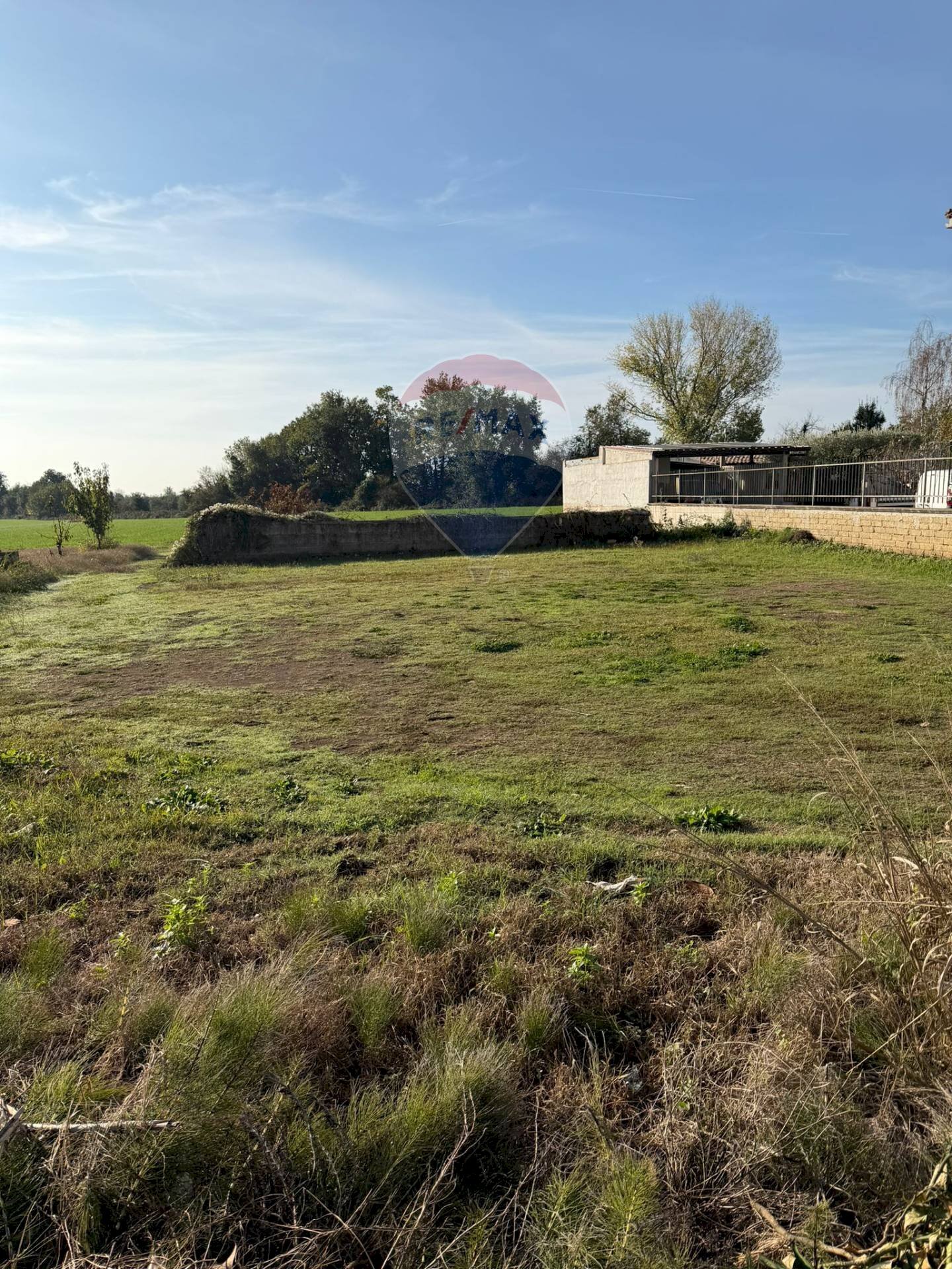 Giardino - Terreno edificabile Località Starza contrada Santa Croce
 
Snc, Carinola - foto 3