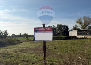 Giardino - Terreno edificabile Località Starza contrada Santa Croce
 
Snc, Carinola - foto 4