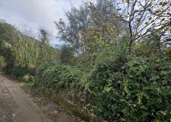 Foto 2 - Terreno agricolo via san michele, Camigliano - foto 2