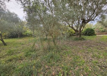 Foto 5 - Terreno agricolo via san michele, Camigliano - foto 5