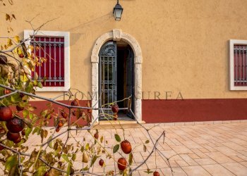 Foto 46 - Casa indipendente via Sisana, Lonigo - foto 46