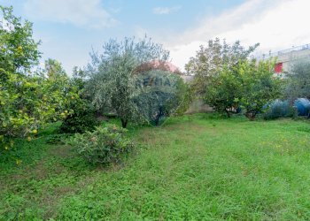 Giardino - Appartamento via Olio di Lino
 
16, Palermo - foto 27