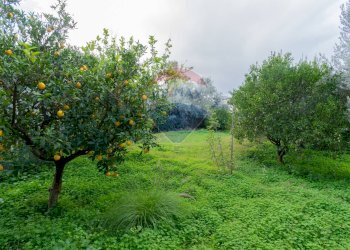 Giardino - Appartamento via Olio di Lino
 
16, Palermo - foto 28