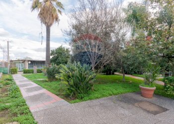 Giardino - Appartamento via Olio di Lino
 
16, Palermo - foto 31