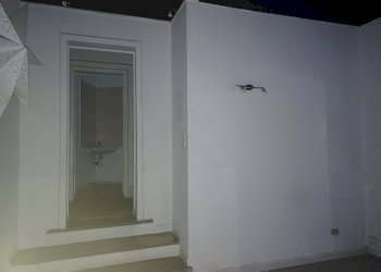 Foto 5 - Attività Commerciale via garibaldi
 
2, Pisa - foto 5