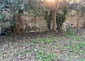 Foto 12 - Quadrilocale Piazza Dei Cavalieri
 
5, Pisa - foto 12