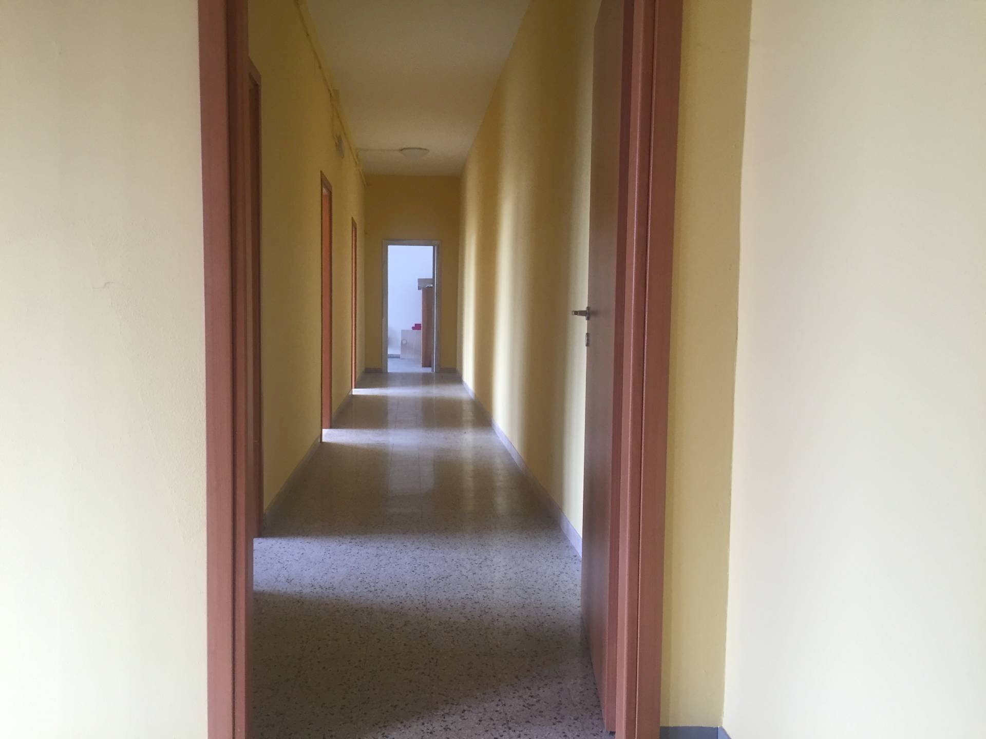 Foto 2 - Attività Commerciale savonarola, Lucca - foto 2