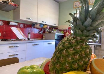 Foto 11 - Casa indipendente via carlo goldoni
 
3, Pescia - foto 11