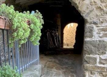 Foto 49 - Casa indipendente via carlo goldoni
 
3, Pescia - foto 49