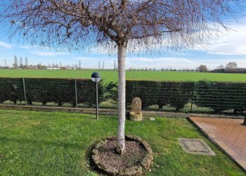 Foto 48 - Villa Via Lucio Mongardi
 
33, Ferrara - foto 48