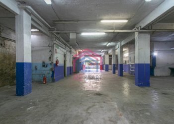 Foto 10 - Laboratorio Via Pio Ix
 
161, Roma - foto 10