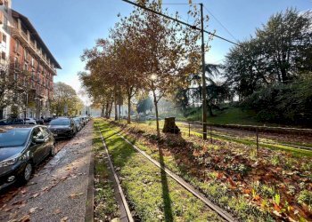 Zona - Appartamento viale Vittorio Veneto, Milano - foto 30
